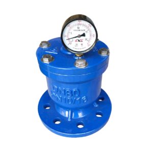 van búa nước shinyi