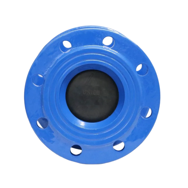 Van 1 chiều lò xo Shinyi