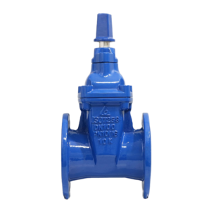 Van cổng nắp chụp Shinyi ty chìm