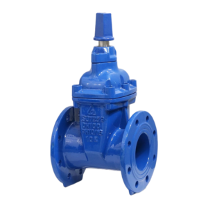 Van cổng nắp chụp Shinyi ty chìm