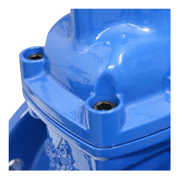 Van cổng nắp chụp Shinyi ty chìm