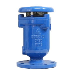 Van xả khí kép Shinyi mặt bích