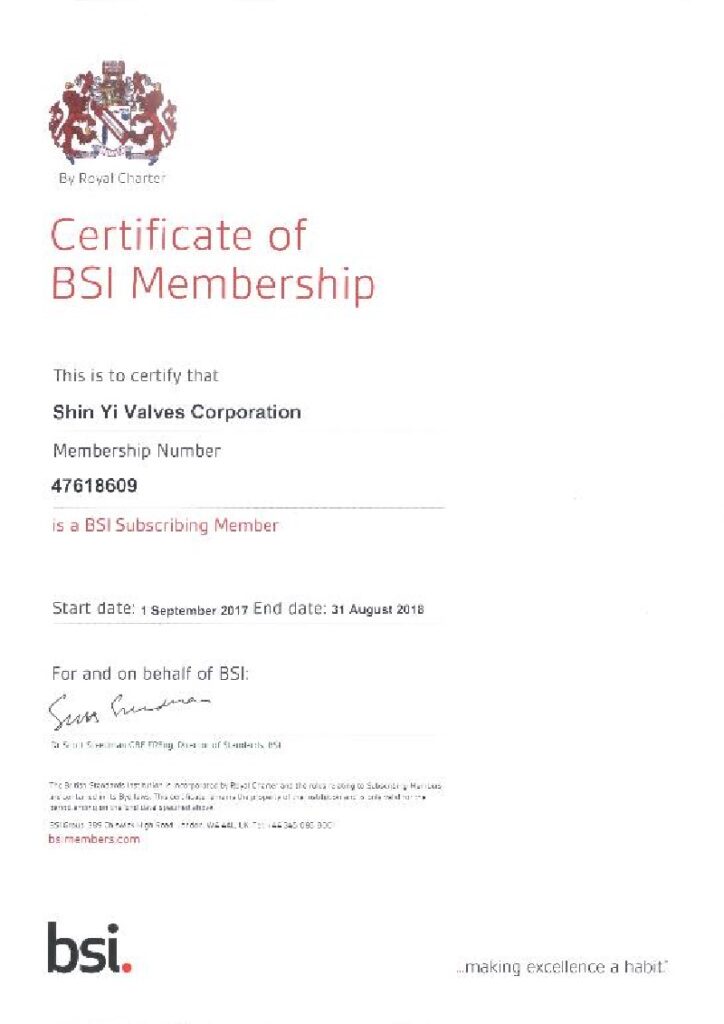 chứng chỉ van shinyi