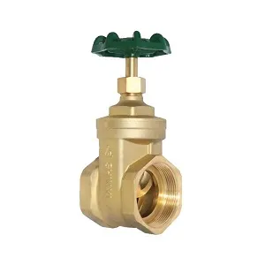 icon van đồng shinyi