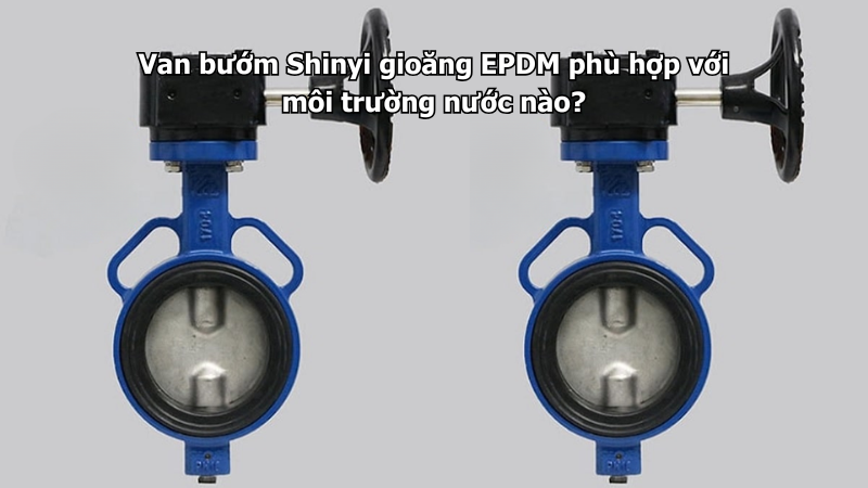 Van bướm Shinyi gioăng EPDM phù hợp với môi trường nước nào?