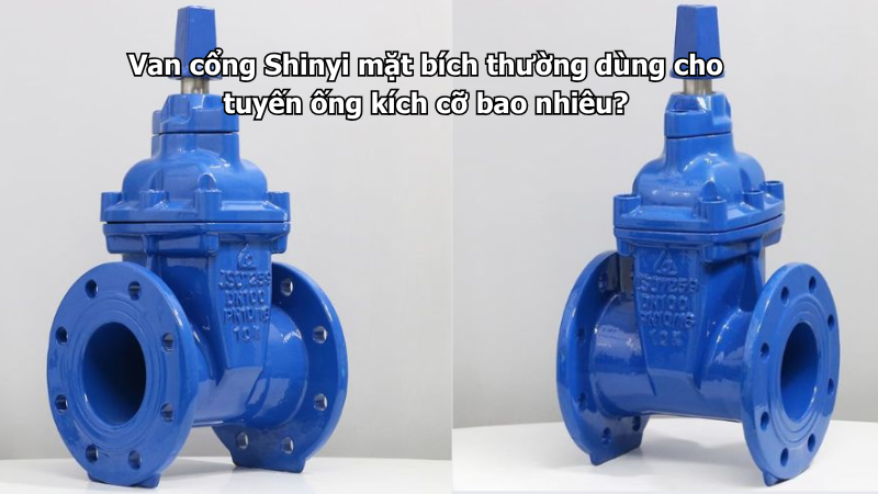 Van cổng Shinyi mặt bích thường dùng cho tuyến ống kích cỡ bao nhiêu?