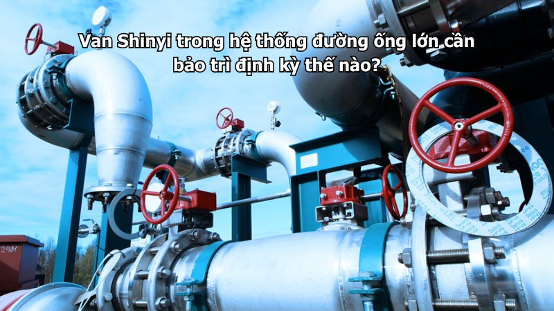 Van Shinyi trong hệ thống đường ống lớn cần bảo trì định kỳ thế nào?